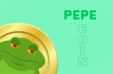 From the Internet to Cryptocurrencies: The Case of Pepe Coin